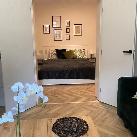 Frezja Gryfów Śląski