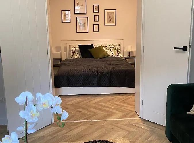 Frezja Gryfów Śląski